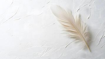 Single beige feather rests on pure white textured background in right-aligned position. Soft natural lighting emphasizes delicate details in clean minimalist composition. delicate photo