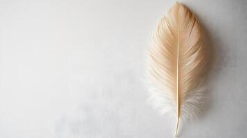 Single beige feather rests on pure white textured background in right-aligned position. Soft natural lighting emphasizes delicate details in clean minimalist composition. white photo