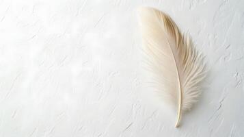 Single beige feather rests on pure white textured background in right-aligned position. Soft natural lighting emphasizes delicate details in clean minimalist composition. beige photo