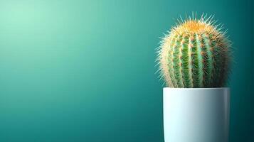 Small barrel cactus sits in white minimalist pot against soft mint green background. Right-aligned composition highlights sharp spines detail with gentle gradient lighting. spines photo