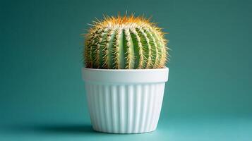 Small barrel cactus sits in white minimalist pot against soft mint green background. Right-aligned composition highlights sharp spines detail with gentle gradient lighting. detail photo