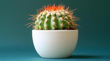 Small barrel cactus sits in white minimalist pot against soft mint green background. Right-aligned composition highlights sharp spines detail with gentle gradient lighting. small photo
