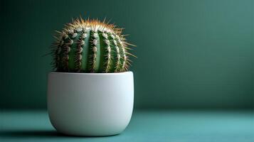 Small barrel cactus sits in white minimalist pot against soft mint green background. Right-aligned composition highlights sharp spines detail with gentle gradient lighting. white photo