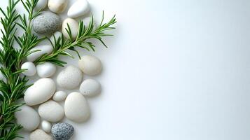 Smooth white pebbles and green rosemary sprigs arranged on left side against pure white background. Minimalist zen composition features soft directional lighting for tranquil scene. white photo