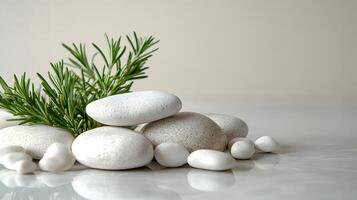 Smooth white pebbles and green rosemary sprigs arranged on left side against pure white background. Minimalist zen composition features soft directional lighting for tranquil scene. sleek photo