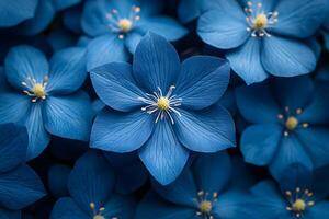 Vibrant Blue Petals Nature's Intricate Floral Patterns for Botanical Design photo