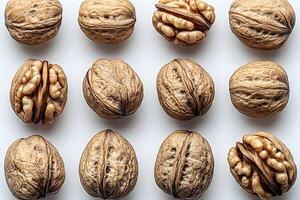 Arrangement of Walnuts in Rows on White Background for Food and Nutrition Concepts photo