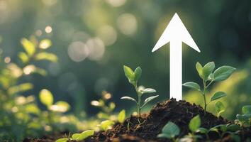 Conceptual image of a growing plant graph with upward arrow representing business growth in a green natural setting. photo