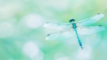 Stunning Turquoise Dragonfly in Flight Green Nature Background Detailed Wings photo
