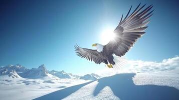 Majestic Bald Eagle Soaring Over Snowy Mountain Landscape Wings Spread Wide photo