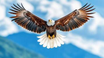 Majestic Bald Eagle in Flight Wings Spread Wide Against a Blue Sky and Mountain Background photo
