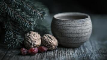 Still Life Photography Walnuts Dried Cranberries Ceramic Bowl Pine Branch photo