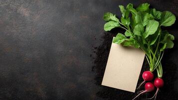 Fresh Red Radishes with Greens on Dark Background Blank Notecard for Text photo