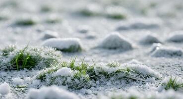 Close up of snow covered ground with small patches of grass and salt crystals scattered across it. photo