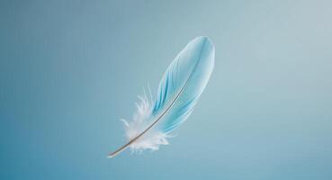 Single soft feather floating on a blue background photo