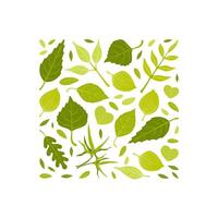 Hello Spring Banner Template with Green Leaves of Various Forest Trees Pattern of Square Shape Illustration vector