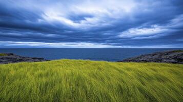 A grassy field with a blue sky and clouds photo