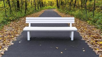 A white bench sitting on a paved path in a forest photo