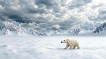 polar bear walking across snowy landscape with mountains in background photo