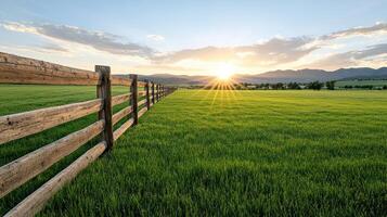 rustic fence line with vibrant green grass at sunset, creating serene landscape photo