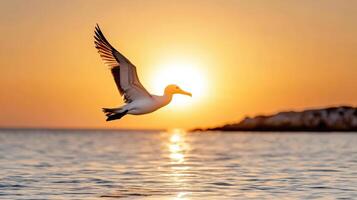 majestic albatross soaring against vibrant sunset over ocean photo