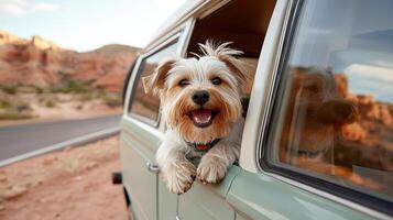 happy dog peeking out of camper van window, enjoying scenery photo