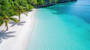 serene beach with turquoise water and lush palm trees invites relaxation photo