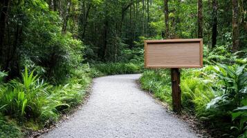scenic forest path with signboard promoting conservation efforts photo