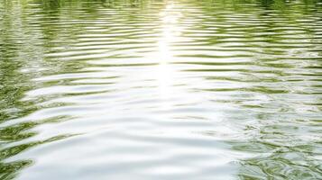 serene view of rippling water reflecting soft light and greenery photo