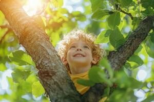 Hispanic boy curly hair climbs sturdy tree in sunny park happily smiling down camera while surrounded vibrant green leaves. Sunlight filters through branches photo