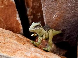 A toy dinosaur is standing on a rock photo