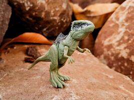 A toy dinosaur standing on a rock in the dirt photo
