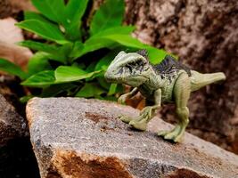 A toy dinosaur is standing on a rock photo