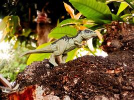 A toy dinosaur is standing on a rock photo