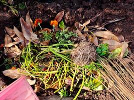A pile of dirt with a rake and some plants photo