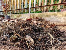 A pile of dirt and leaves on the ground photo