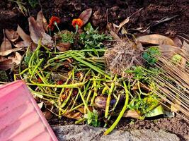 A pile of dirt with a broom and a bunch of plants photo