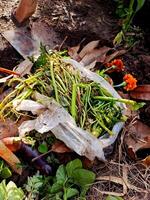 A bag of vegetables and flowers on the ground photo