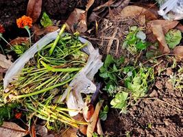 A bag of vegetables and flowers on the ground photo