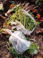 A bag of flowers and weeds sitting on the ground photo