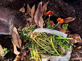 A bag of weeds and flowers sitting on the ground photo