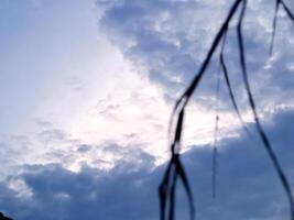 A kite flying in the sky photo