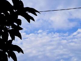 A blue sky with clouds photo