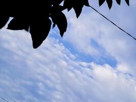 A kite flying in the sky with a blue sky photo