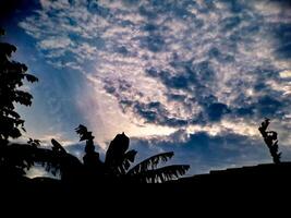 A silhouette of clouds and palm trees in the evening photo