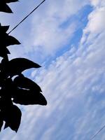 A blue sky with clouds photo