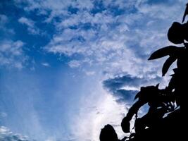 A blue sky with clouds and a bird flying photo