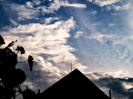 A bird flying in the sky with a building in the background photo