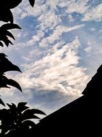 A bird is flying in the sky above a building photo