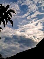 A bird is flying in the sky above a building photo